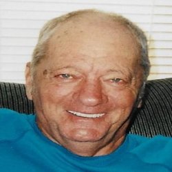 Delmer Lee (Ham) Hensley