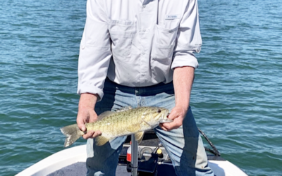 Vola “Toby” Ray Hinkle