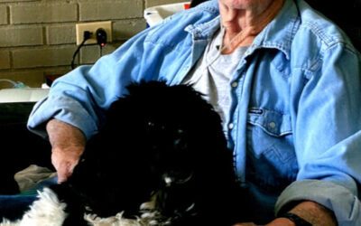 Harold Silvers